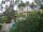 Webcam in Cabarete, 100.6 km