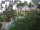Webcam in Cabarete, 151.8 km