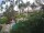 Webcam in Cabarete, 247 km