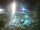 Webcam in Cabarete, 39.8 mi away