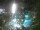 Webcam in Cabarete, 95.3 mi away