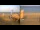 Webcam in Marsa Alam, 354.3 km entfernt