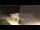 Webcam in Marsa Alam, 763.7 mi away