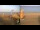Webcam in Marsa Alam, 237.9 mi away