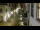 Webcam in Schaffhausen, 6.6 mi away