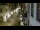 Webcam in Schaffhausen, 6.6 mi away
