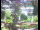 Webcam in Flachau (Salisburgo), 7 km