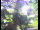 Webcam in Flachau (Salzburg), 6 km entfernt