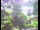 Webcam in Flachau (Salzburg), 7.3 km entfernt