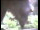 Webcam in Flachau (Salzburg), 1.5 mi away