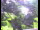 Webcam in Flachau (Salzbourg), 7.3 km