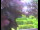 Webcam in Flachau (Salisburgo), 7 km
