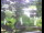 Webcam in Flachau (Salisburgo), 4 km