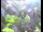Webcam in Flachau (Salzburg), 6 km entfernt