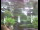 Webcam in Flachau (Salisburgo), 7.3 km