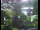 Webcam in Flachau (Salzburg), 2.2 mi away