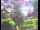 Webcam in Flachau (Salisburgo), 4 km