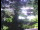 Webcam in Flachau (Salzburg), 2.2 mi away