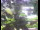 Webcam in Flachau (Salzburg), 0.2 mi away