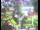 Webcam in Flachau (Salzbourg), 0 km
