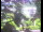 Webcam in Flachau (Salisburgo), 0 km