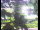 Webcam in Flachau (Salisburgo), 6.5 km