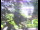Webcam in Flachau (Salzburg), 0 km