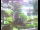 Webcam in Flachau (Salisburgo), 7.4 km