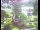 Webcam in Flachau (Salisburgo), 7.3 km