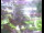 Webcam in Flachau (Salisburgo), 7.3 km