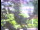 Webcam in Flachau (Salzburg), 7 km