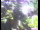 Webcam in Flachau (Salzburg), 2.7 mi away