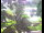 Webcam in Flachau (Salzburg), 2.2 mi away