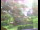 Webcam in Flachau (Salzburg), 2.9 mi away