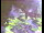 Webcam in Flachau (Salzburg), 1.5 mi away