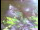 Webcam in Flachau (Salzbourg), 0 km