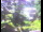 Webcam in Flachau (Salisburgo), 7.3 km