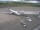 Webcam in Fukushima, 80.3 mi away