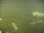 Webcam in Fukushima, 524.1 km entfernt