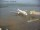 Webcam in Fukushima, 49.2 mi away