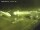 Webcam in Fukushima, 308.4 km entfernt