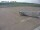 Webcam in Fukushima, 809.8 km entfernt
