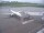 Webcam in Fukushima, 240.6 km