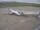 Webcam in Fukushima, 97.9 mi away