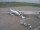 Webcam in Fukushima, 80.3 mi away
