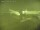 Webcam in Fukushima, 222 km