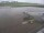 Webcam in Fukushima, 240.5 km