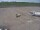 Webcam in Fukushima, 86.9 mi away