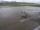 Webcam in Fukushima, 223 km