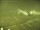 Webcam in Fukushima, 225.2 km